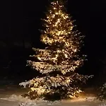 Daire Zdrowo Przez Sad Brzezinki (Grojec)
