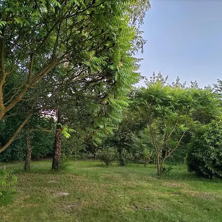 Zdrowo Przez Sad Apartment Brzezinki (Grojec)