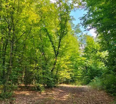 Apartment Zdrowo Przez Sad