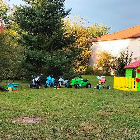 Zdrowo Przez Sad * Brzezinki (Grojec)