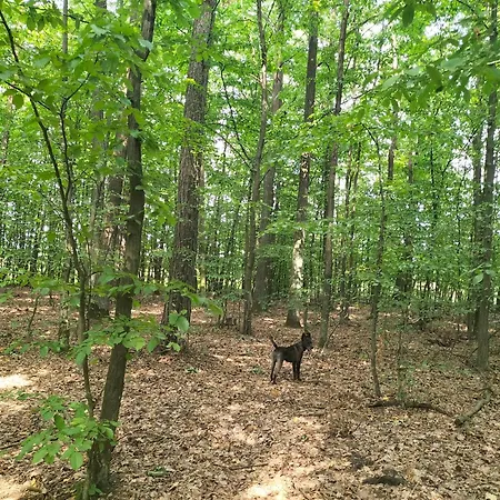 아파트 Zdrowo Przez Sad Brzezinki (Grojec)