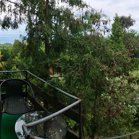 Zdrowo Przez Sad Brzezinki (Grojec)