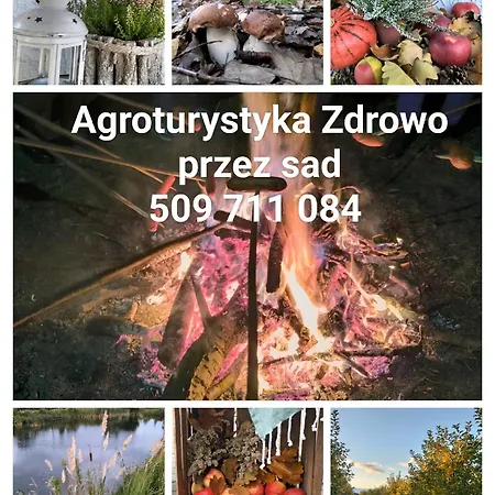 Apartment Zdrowo Przez Sad *