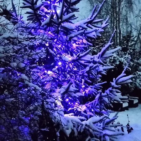 Zdrowo Przez Sad Brzezinki (Grojec)