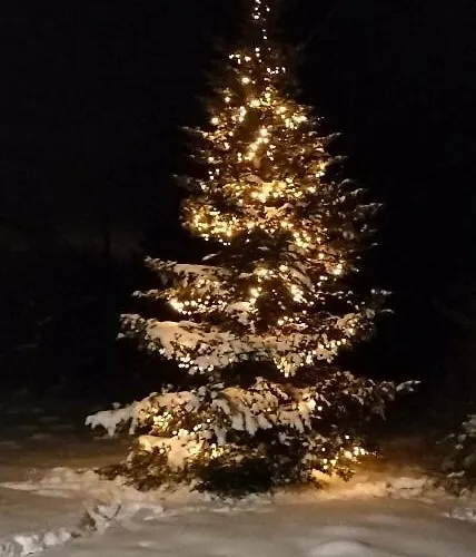 Apartamento Zdrowo Przez Sad Brzezinki (Grojec)